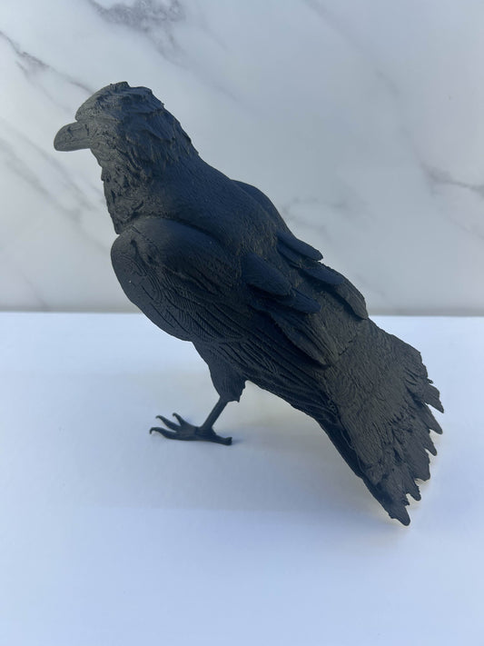 The Vampire Diaries - Figurine : Corbeau