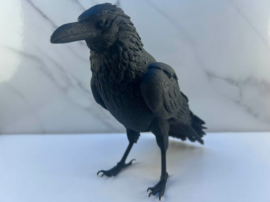 The Vampire Diaries - Figurine : Corbeau