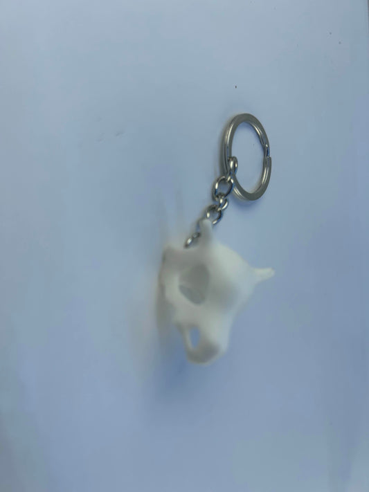 Pokémon - Porte-clés